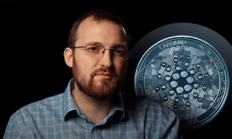 Чарльз Хоскинсон из Cardano сообщил о нереализованных убытках в  млрд из-за спада на крипторынке
